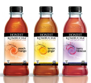 kombucha synergy big bottle