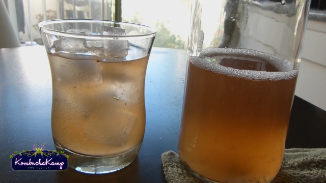 Glass & Bottle of Kombucha from Hannah Crum and Kombucha Kamp