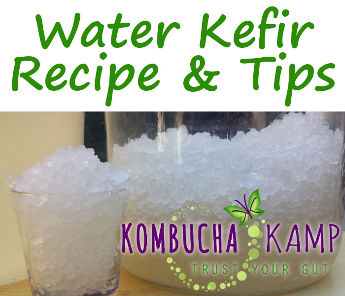 Water Kefir Recipe & Tips  How To Make Water Kefir at Home Safely