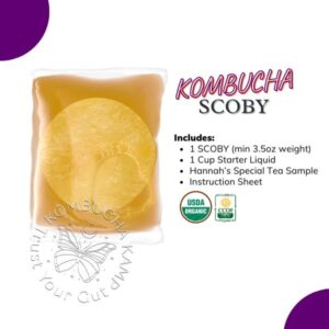 Kombucha Cultures SCOBY, Fresh Kombucha SCOBY for Sale