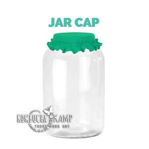 Kombucha Jars Pack of 2 (1 Gallon Glass Jars with BPA-Free Lids) - Bucha  Brewers