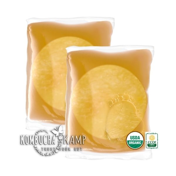 2 Pack 100 Small Scented Lemon 4 Gallon Trash Bags Bathroom for
