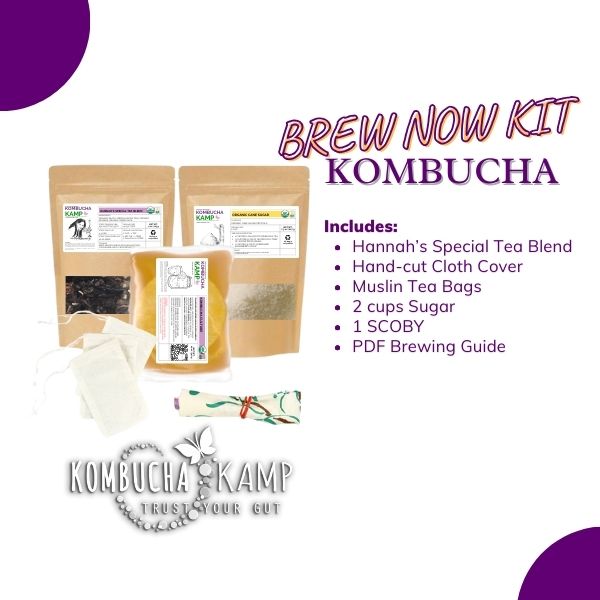 Complete Kombucha Brewing Kit. Great Value. Guaranteed Success.