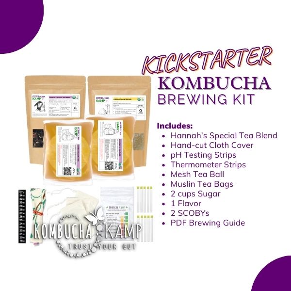 Buy Kombucha Brew Kit (for 2 Gallon) - 2 Scoby Cultures, Muslin Tea Bags,  Organic Cane Sugar, Steel Tea Ball, & More