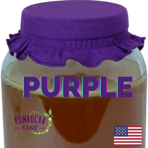 https://www.kombuchakamp.com/wp-content/uploads/2021/11/Purple-Jar-Cap.jpg