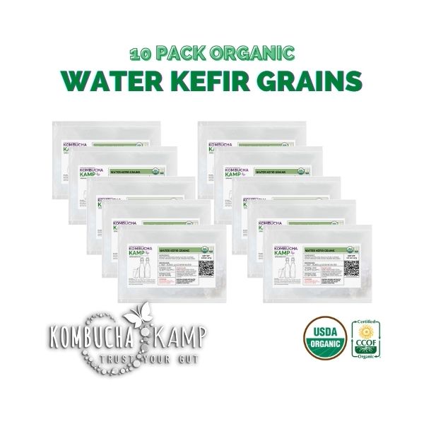 Kombucha starter kit Buy kefir grains - Milk kefir Grains, Water Kefir  Grains