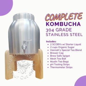 Stainless Steel Vessel With Continuous Kombucha Brew Complete Package