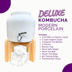 Modern Porcelain Continuous Brewer Kombucha Deluxe Package