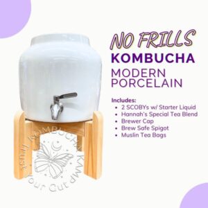 Modern Porcelain Vessel with Complete Kombucha Brewer No Frills Continuous Package